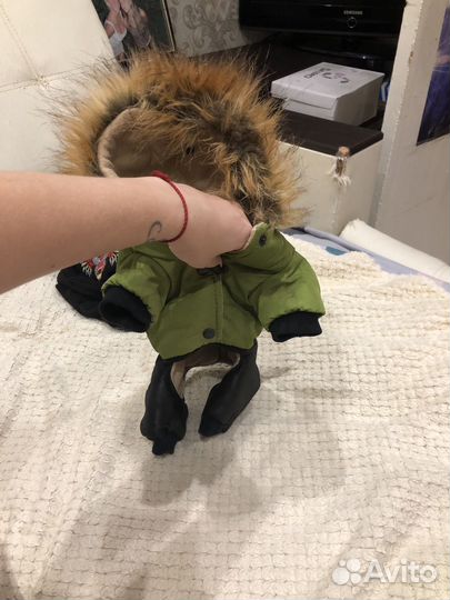 Куртка для маленькой собаки