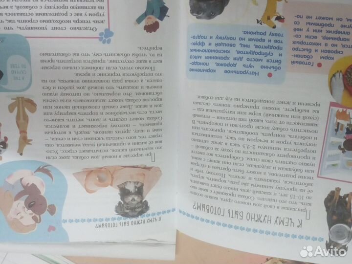 Книги о собаках