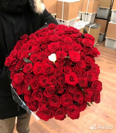 Розы, букет цветов, 101 роза, 51 роза Розы опт