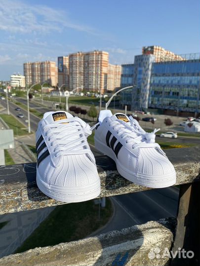 Кроссовки adidas superstar