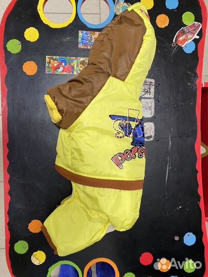 Одежда для маленьких собак