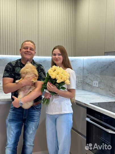 Кухонный гарнитур в современном стиле новый