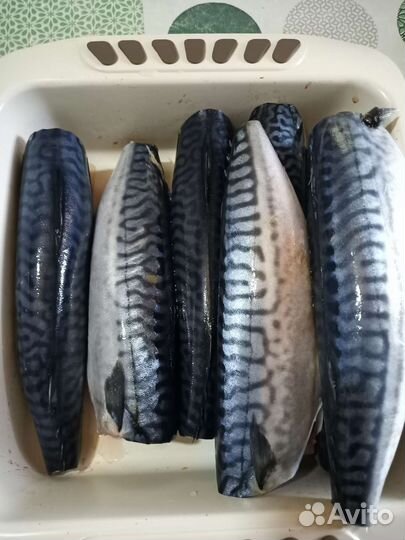 Скумбрия холодного копчения