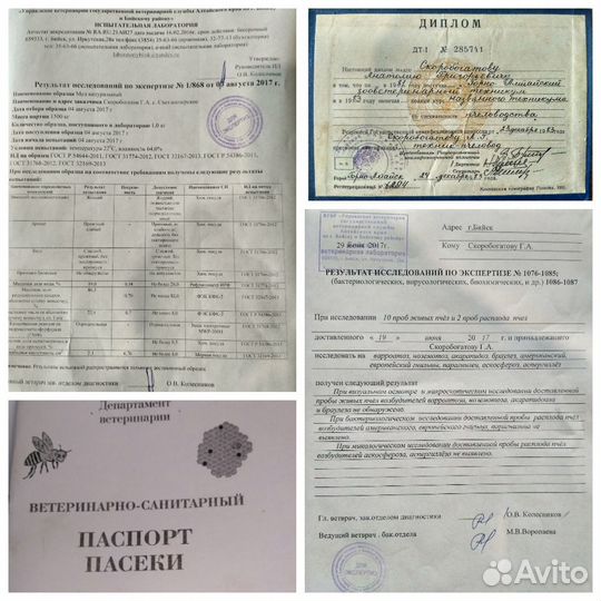 Мёд Алтайский