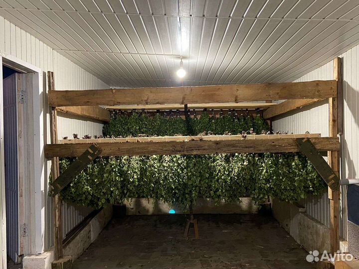 Березовые веники для бани