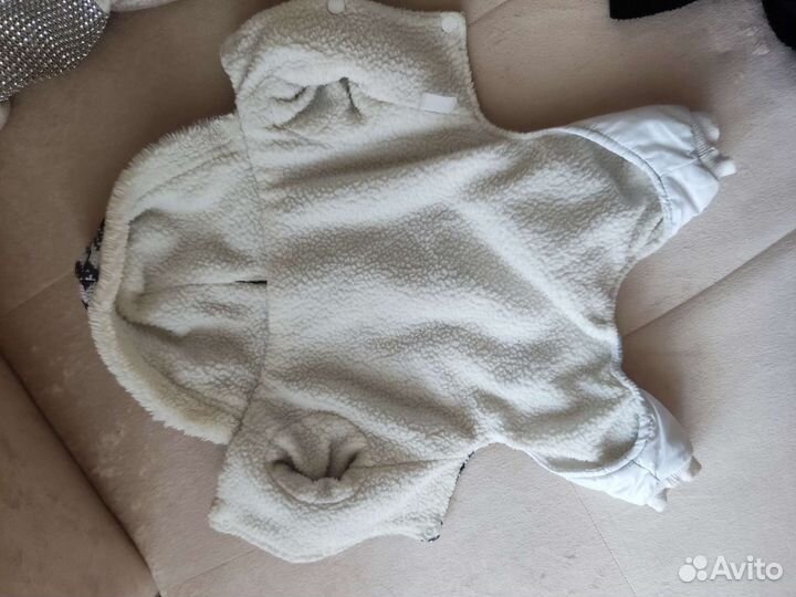 Одежда для собак