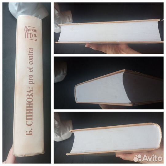 Спиноза Pro et contra