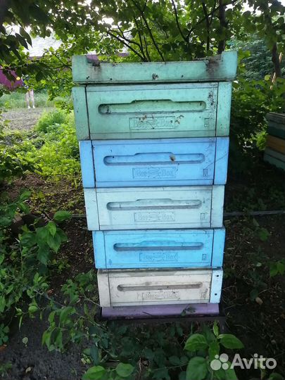 Улей, все для пасики и пчел