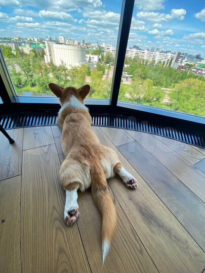 3-к. квартира, 110 м², 7/9 эт.