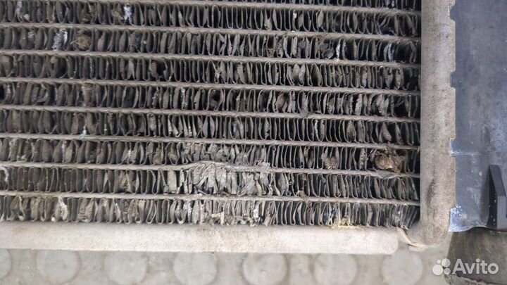 Радиатор охлаждения двигателя Dacia Logan, 2008