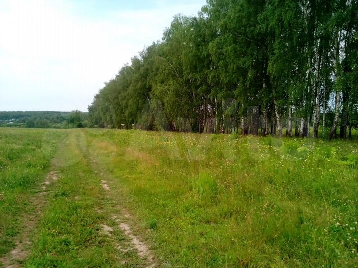Участок 1,4 га (СНТ, ДНП)