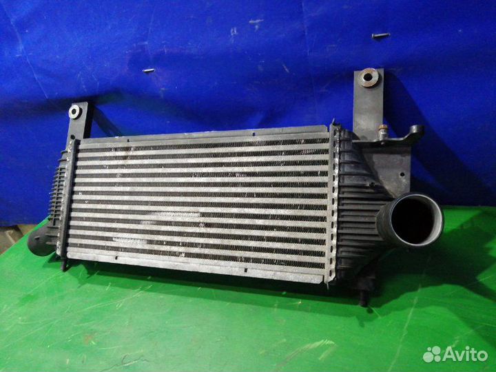 Интеркулер Nissan Pathfinder R51 YD25ddti 2009