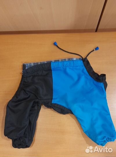 Одежда для собак. Мальчика