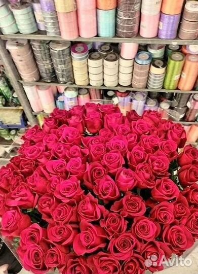 Высокие розы Гигантские розы с доставкой