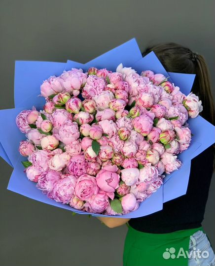 Пионы в наличии