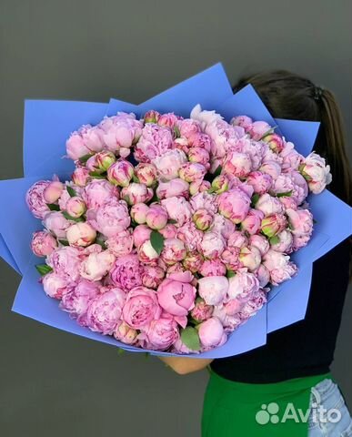 Пионы в наличии