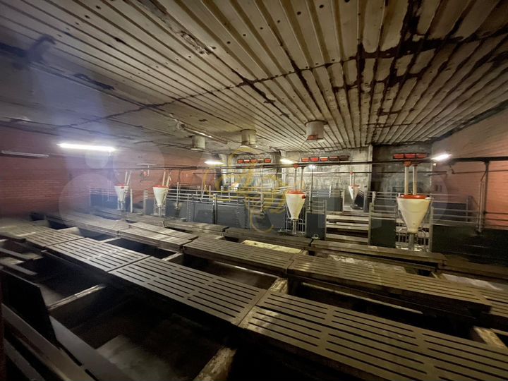 Фермерское хозяйство