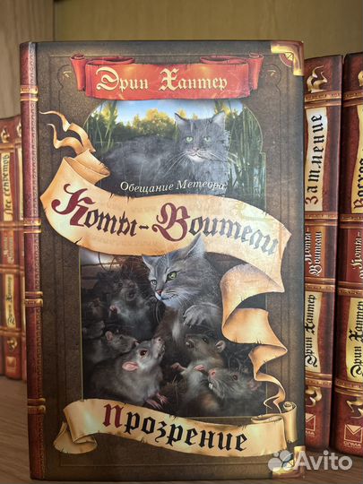 Коты воители