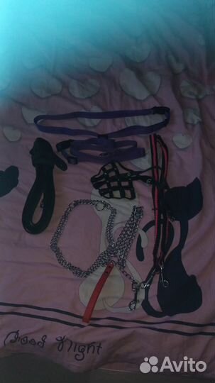 Поводок для собак, Амуниция для собак