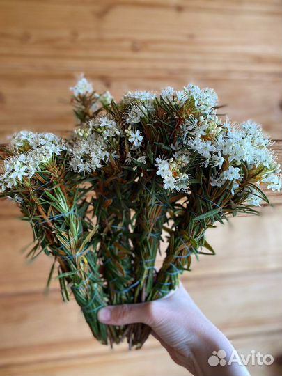 Багульник сухой и свежий скрутки и россыпью