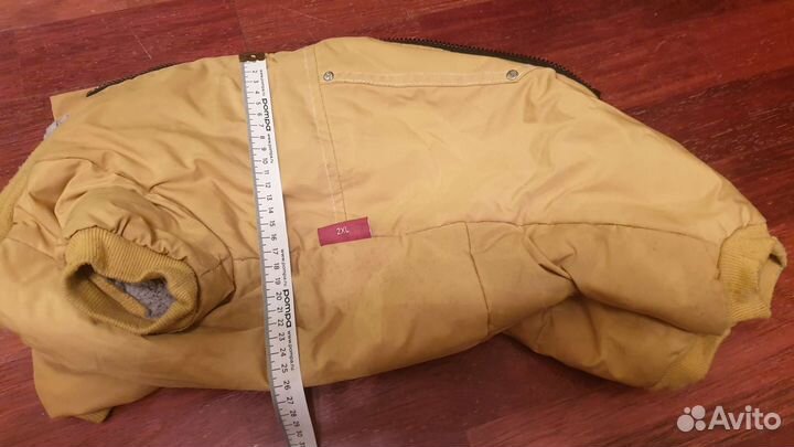 Одежда для средних собак