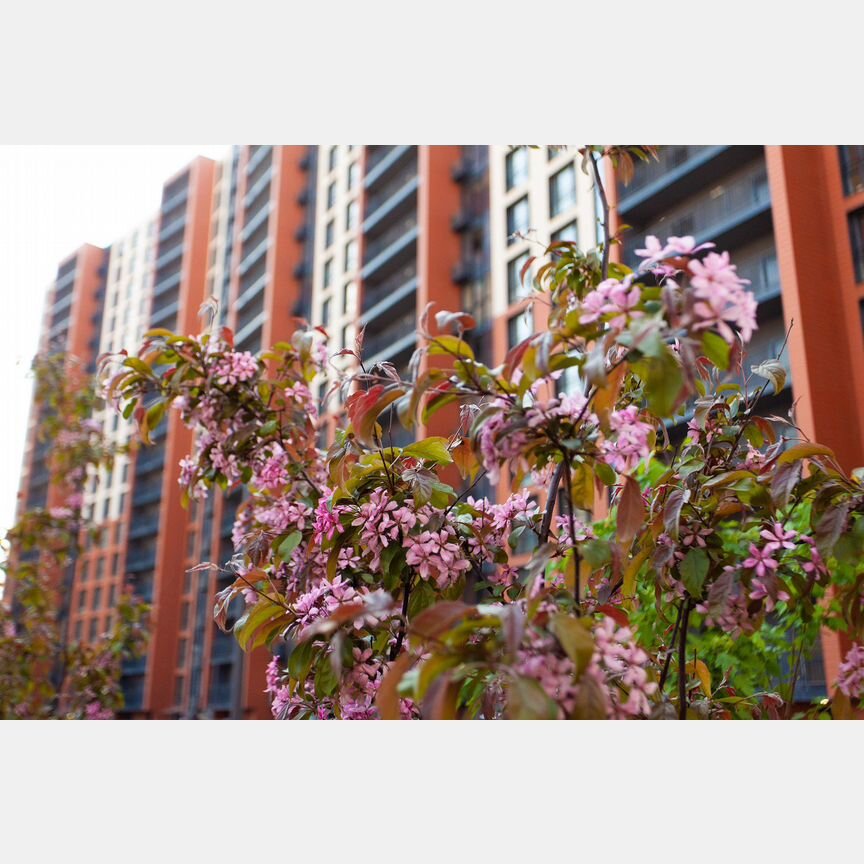 2-к. квартира, 67 м², 16/18 эт.