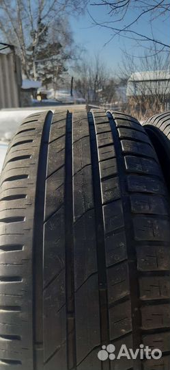 Nokian Tyres Nordman SX 205/60 R16
