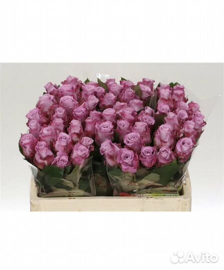 Букеты из 101 розы
