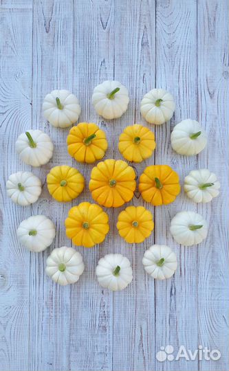 Тыквы декоративные