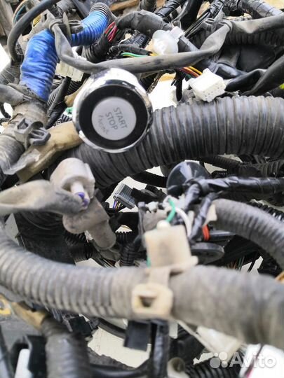 Проводка Nissan Teana J32 2013 2.5 CVT