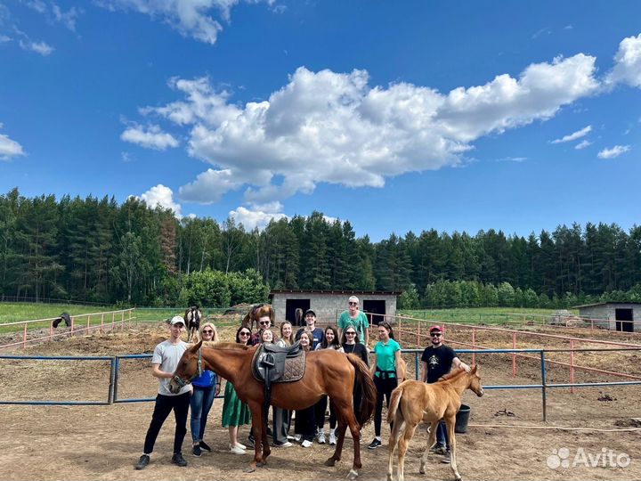 Конная прогулка Лаишево 26 августа
