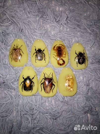 Насекомые в эпоксидной смоле