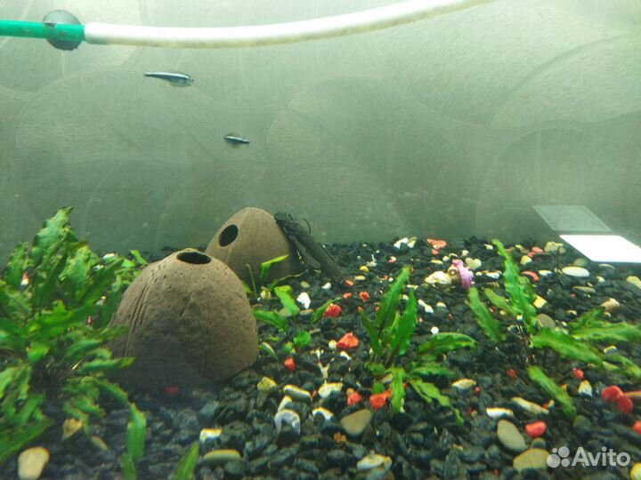 Аквариум