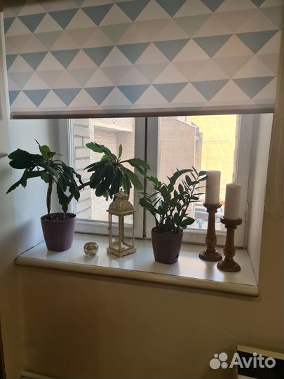 Аренда парикмахерского кресла в кабинете