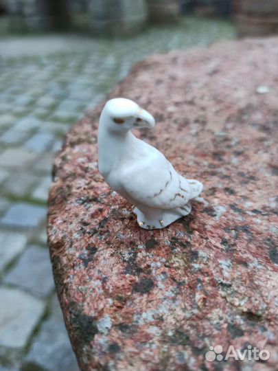 Фарфоровые птички с раскопок кенигсберга