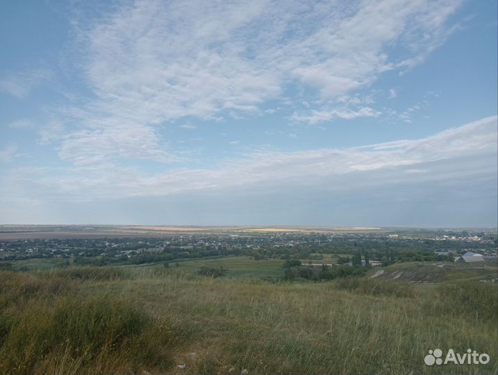 Сено луговое в тюках