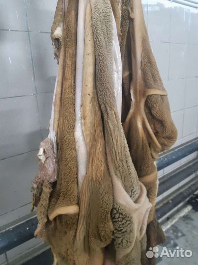 Субпродукты говяжьи