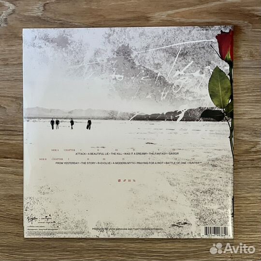 Thirty Seconds To Mars - A Beautiful Lie (винил)