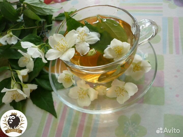 Зелёный чай с жасмином оптом