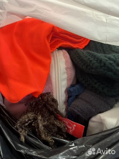 Одежда доя девочки 160