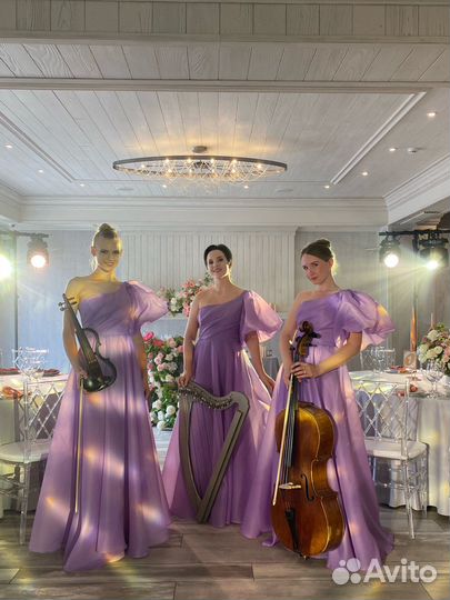 Музыканты на свадьбу