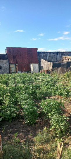 Дом 54 м² на участке 3 сот.