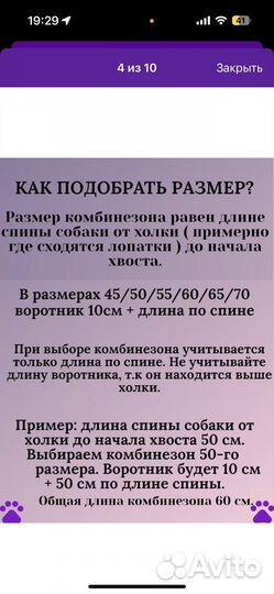 Комбинезон для собаки