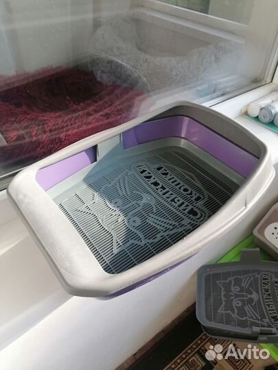 Лоток кошачий с сеткой и бортиком (б/у)