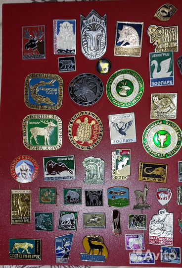 Значки СССР - зоопарки и заповедники