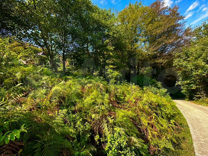 Участок 4 сот. (СНТ, ДНП)