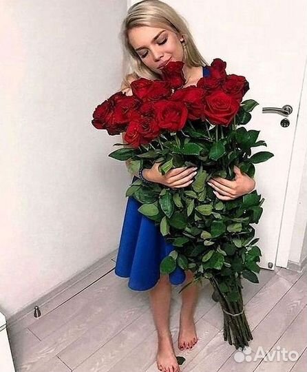 101 роза цветы букеты доставка 25 51 101 роза