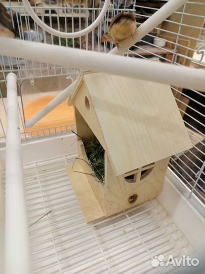 Гнездо для птиц