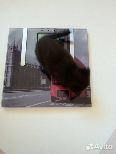 Напольные электронные весы