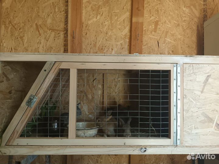 Клетка для кролика